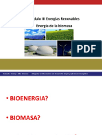 Energia de la biomasa_2016_pdf.pdf