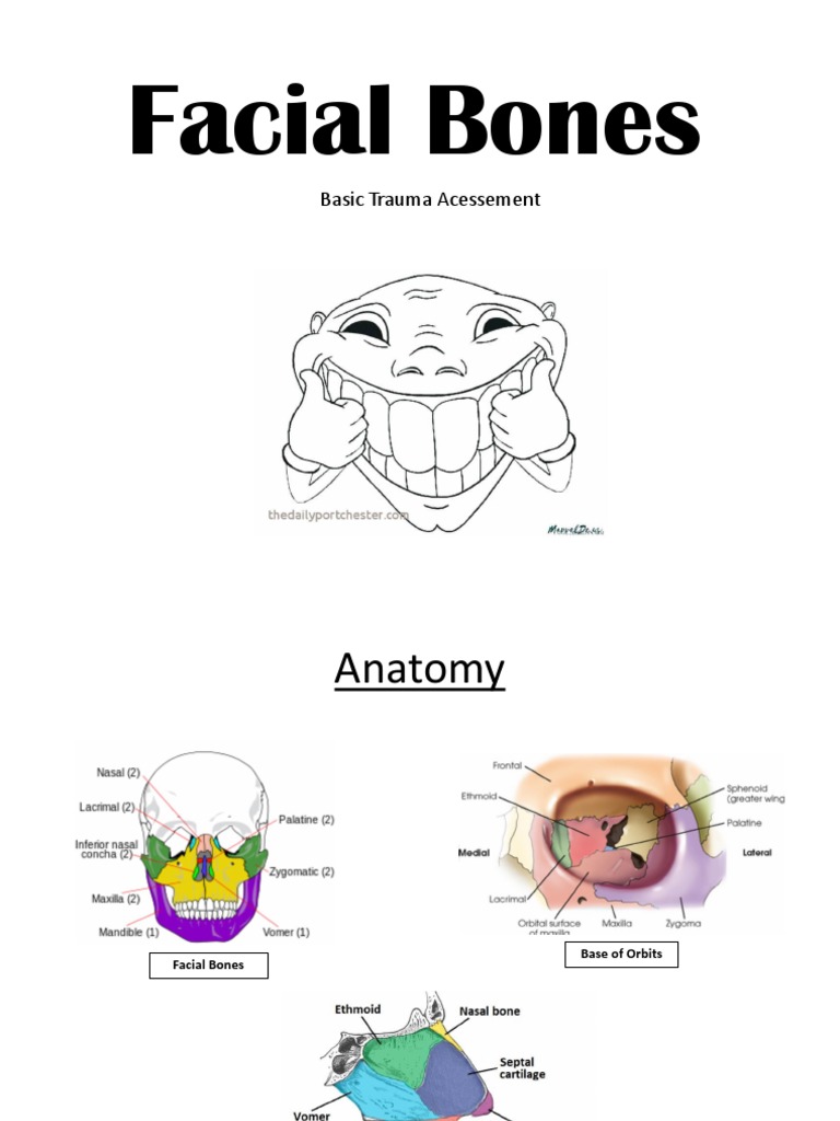 Facial Bone Trauma Positioning Guide | PDF | Human Nose | Skull
