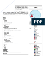 Oceanía PDF