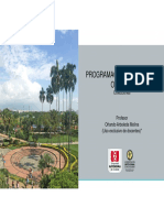 POO Colecciones PDF
