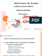 (6) REGION GLÚTEA - MUSLO (1).ppt