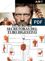 funcionessecretorasdeltubodigestivo-110305213014-phpapp01-121006163335-phpapp02.ppt