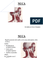 20_-NUCA.pdf