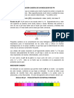 Indicador - Practica Casera 2020 PDF