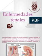 Enfermedades Renales Dieto 2