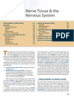 Development of Nerve Tissue 161 Neurons 163 Central Nervous System 175