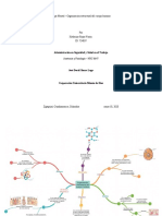 Mapa Mental - Organización Estructural Del Cuerpo Humano