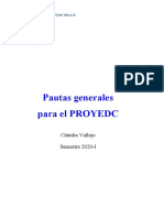 Pautas_generales_para_PROYEDC (1)