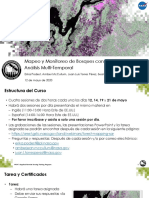 Mapping Forests with SAR