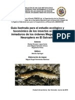 Guía Ilustrada para El Estudio Ecológico y Taxonómico de Los Insectos Acuáticos Inmaduros de Los Órdenes Megaloptera y Neuroptera en El Salvador