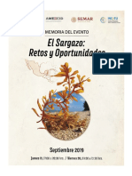 Sargazo Memoria Electronica PDF