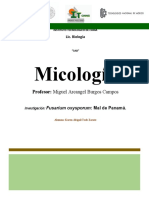 Fusarium Oxysporum Micología