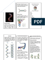 Triptico de Biologia.docx