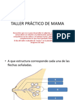 Taller Práctico de Mama PDF