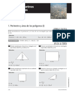 _areas_perimetros_bru_o_con_sol1497607645969.pdf