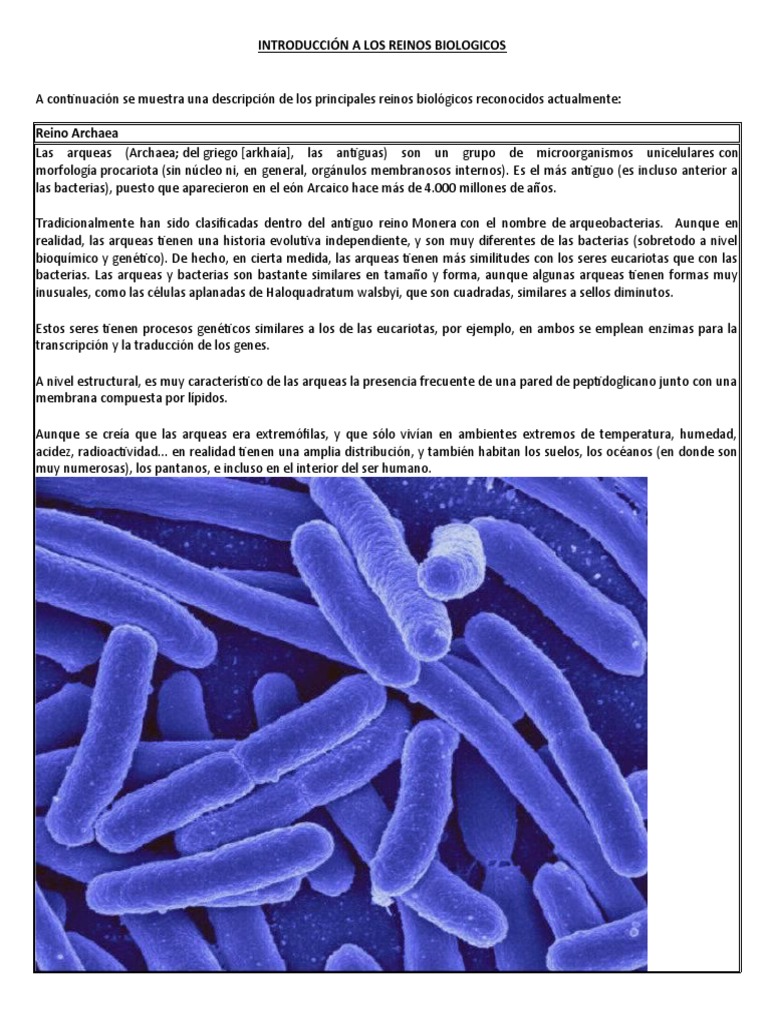 Introducción A Los Reinos Biologicos | PDF | Archaea | Plantas