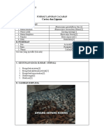 Elaeocarpus PDF