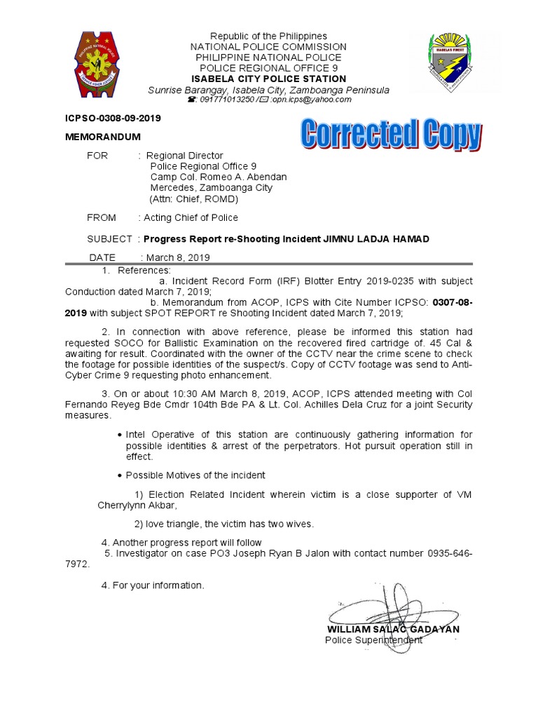 Progress Report Shooting Incident PDF