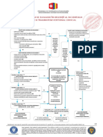 15. Traumatism Vertebral  Cervical.pdf