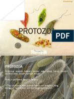 Protozoa 1