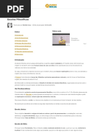 Escolas Filosóficas - Filosofia _ Manual do Enem.pdf