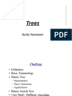 Trees: Anila Yasmeen