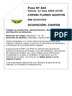 Pase Laboral Dexh2ynz5 A01 PDF