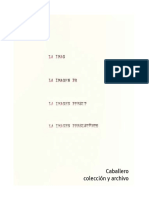 Caballero_La_imagen_persistente_Coleccio.pdf