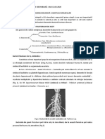 Interactiunea Planta-Bacterii Fixatoare de Azot-Plan