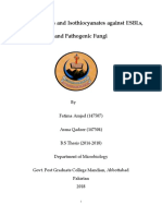 Fatima Thesis.pdf