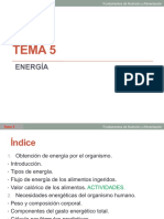 Tema 5 PDF