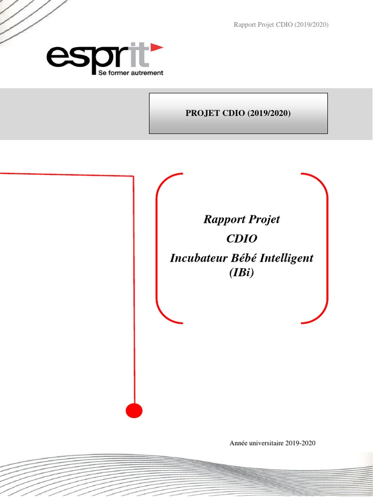 Rapport Projet Cdio 19 Version Correcte Pdf Pdf Enfant Premature Nourrisson