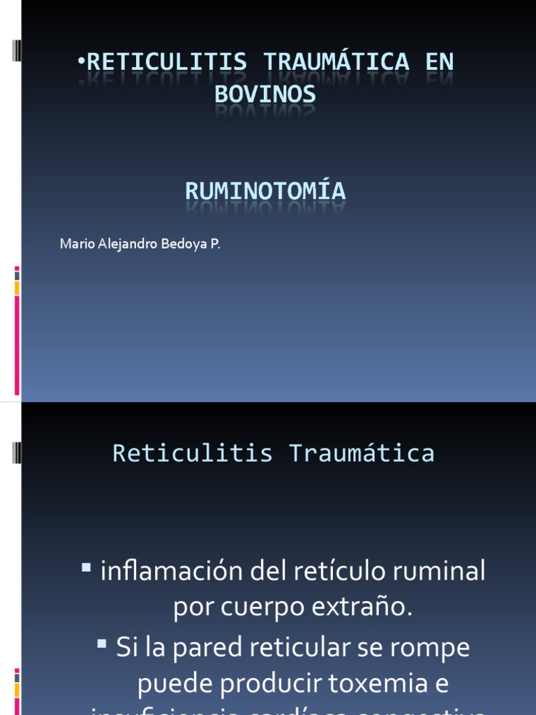 Reticulitis Traumática en Bovinos | PDF | Especialidades Medicas ...