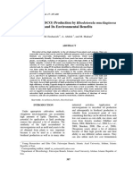 Single Cell Oil (SCO) Production by Rhodotorula Mucilaginosa and Its Environmental Benefits