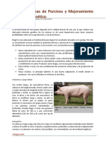 Mejoramiento Genetico Porcinos