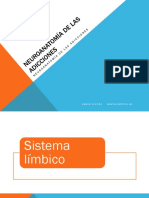 4. Neuroanatomia de las Adicciones 1 (Núcleo acumbens) Psic. Ramón Salcido