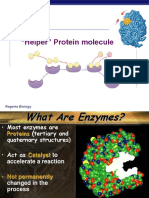 Enzymes PDF