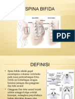 Spina Bifida A6 Akhir