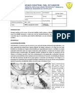 TAREA3_SI_CADENA_SANTIAGO