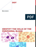 Hematology Review: Peripheral Blood