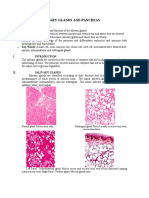 Salivary Glands and Pancreas Functions