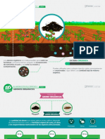 Lección 1 Infografía 2 - Abonados Orgánicos PDF