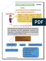 Cuarto Pdf-Información