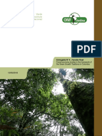 Informe 2. Propuestas de acciones y recomendaciones para incentivar la economía forestal (Entregable 4)