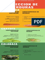 Colorful Career Timeline Infographic PDF