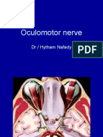 Oculomotor Nerve: DR / Hytham Nafady