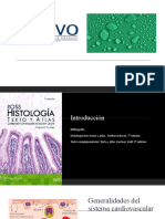 ANATOMIA II primera clase Sistema cardiovascular.pptx