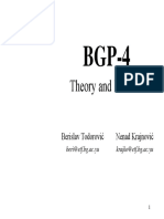 BGP4 PDF