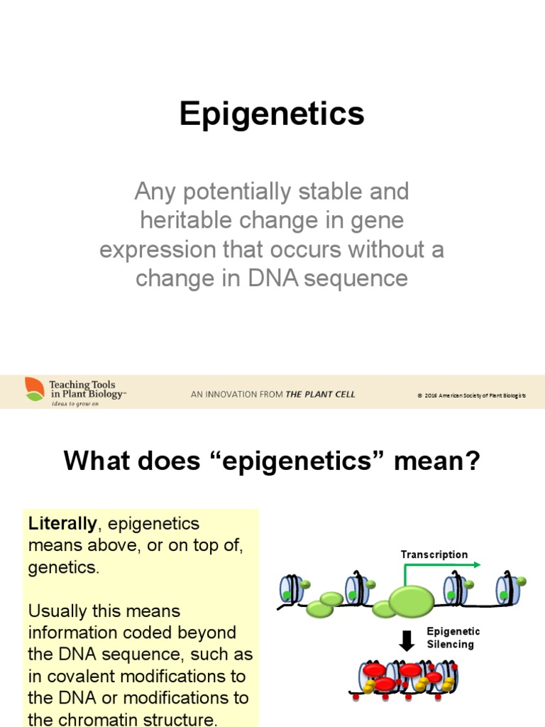Any Potentially Stable and Heritable Change in Gene Expression That Occurs Without