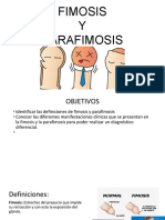 Fimosis y Parafimosis PDF